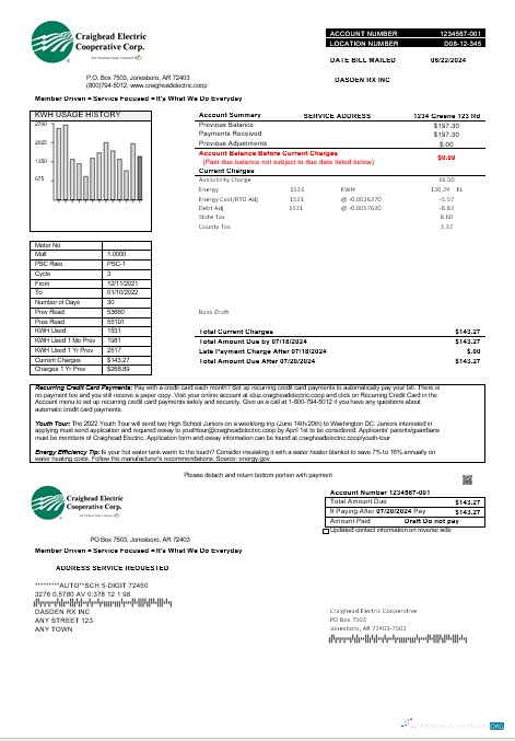 Download USA Craighead Electric business utility bill template in Word and PDF formats Photoshop template